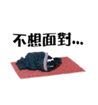 パイナップル犬（個別スタンプ：28）