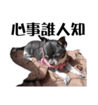パイナップル犬（個別スタンプ：29）