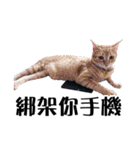 パイナップル犬（個別スタンプ：34）