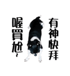 パイナップル犬（個別スタンプ：38）