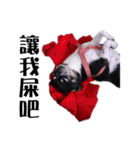 パイナップル犬（個別スタンプ：39）