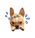 LOHA BABY 02（個別スタンプ：1）