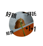 come on 's live（個別スタンプ：8）