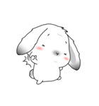 famous bunny（個別スタンプ：14）