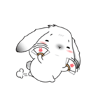 famous bunny（個別スタンプ：31）