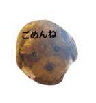 トイプードルスタンプp(^-^)q（個別スタンプ：6）