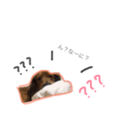 chyapy（個別スタンプ：6）