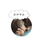 イタグレ ピーチの癒しスタンプ（個別スタンプ：22）