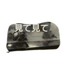 WPMRkun（個別スタンプ：1）