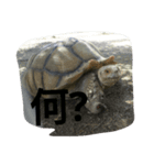 WPMRkun（個別スタンプ：2）