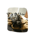 WPMRkun（個別スタンプ：3）