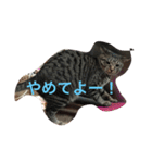 ソルとメイ 2（個別スタンプ：2）