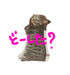 ソルとメイ 2（個別スタンプ：5）