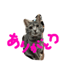 ソルとメイ 2（個別スタンプ：9）