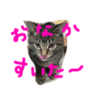 ソルとメイ 2（個別スタンプ：10）