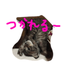ソルとメイ 2（個別スタンプ：11）