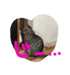 ソルとメイ 2（個別スタンプ：14）