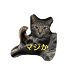 ソルとメイ（個別スタンプ：2）