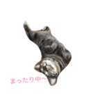 ソルとメイ（個別スタンプ：5）