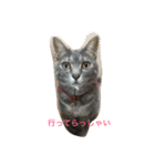 ソルとメイ（個別スタンプ：6）