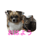 ソルとメイ（個別スタンプ：9）