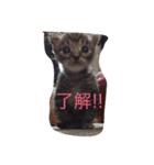 ソルとメイ（個別スタンプ：10）