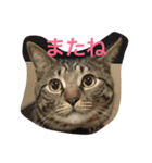 ソルとメイ（個別スタンプ：12）