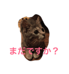 ソルとメイ（個別スタンプ：14）
