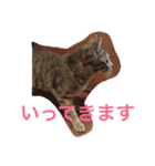 ソルとメイ（個別スタンプ：15）