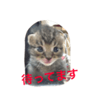 ソルとメイ（個別スタンプ：18）