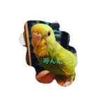 マロンとペロ（個別スタンプ：3）