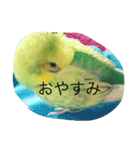 マロンとペロ（個別スタンプ：8）
