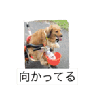 えるも・I・しゃこたん（個別スタンプ：2）