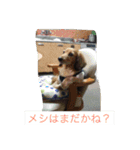 えるも・I・しゃこたん（個別スタンプ：10）