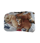 愉快なmix犬たち（個別スタンプ：4）