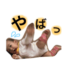 りおスタンプコレクション(*´-`)（個別スタンプ：5）