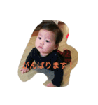 仁科家スタンプ（個別スタンプ：1）