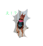 ココフォト4（個別スタンプ：6）