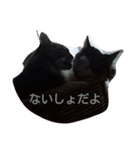 ノルウェージャンのひとりごと1（個別スタンプ：3）