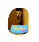 ちろこぶ（個別スタンプ：22）