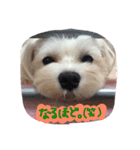 ちろこぶ（個別スタンプ：32）