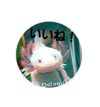 my upa.（個別スタンプ：4）