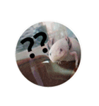 my upa.（個別スタンプ：6）