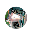 my upa.（個別スタンプ：10）