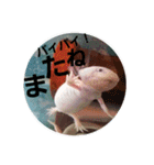 my upa.（個別スタンプ：11）