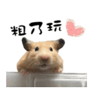 Long face Pika daily.（個別スタンプ：8）