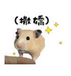 Long face Pika daily.（個別スタンプ：12）