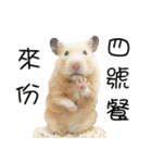 Long face Pika daily.（個別スタンプ：29）