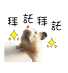 Long face Pika daily.（個別スタンプ：32）