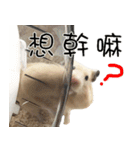 Long face Pika daily.（個別スタンプ：35）